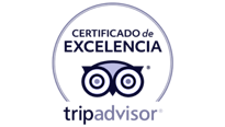 Tripadvisor - Certificate of Excellence
